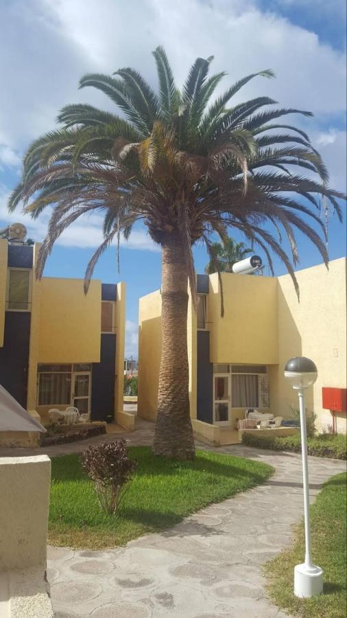 Duplex El Cortijo, Lasamericas Playa de las Americas  Eksteriør bilde